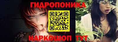 твердый Боровичи