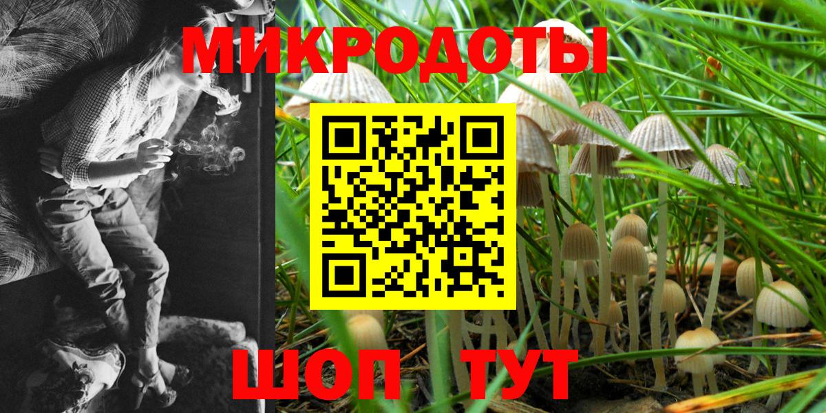 Галлюциногенные грибы GOLDEN TEACHER Димитровград